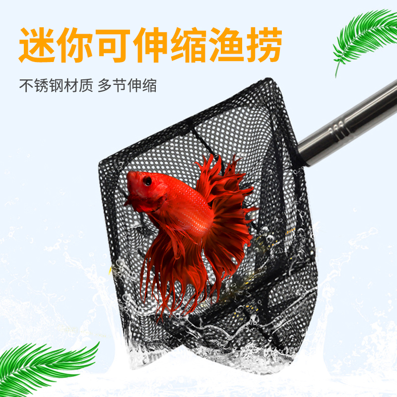 伸缩型渔网 小型鱼捞 虾捞 小型热带鱼捞