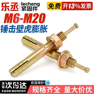 举升机专用膨胀螺丝击芯膨胀一钉得汽车升降机地脚固定爆炸螺栓