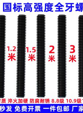 加长丝杆1.5米/2米/3米8.8级螺杆高强度牙条通丝全螺纹M20M12M10