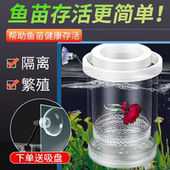 鱼缸孵化盒隔离盒孔雀鱼繁殖盒凤尾斑马母鱼产房小鱼缸生鱼产卵房