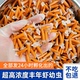 丰年虾卵鱼饲料鱼粮热带鱼水母孔雀鱼苗鱼食开口粮增艳卤虫脱壳