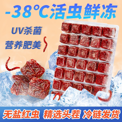 冰冻红虫鱼食饲料丰年虾观赏鱼