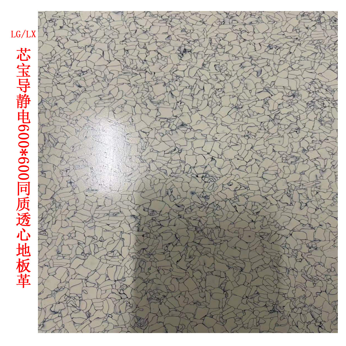 LX Hausys芯宝导静电地板 同质透心PVC片材地胶机房灰色地砖净化