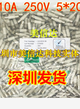 进口原装 T10A 10A F10A 250V 5X20 5*20 陶瓷保险管 保险丝