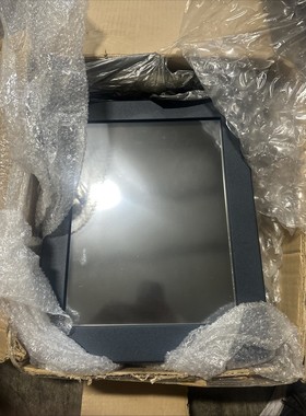 DYNICS WL15T41XPK40W-NL WEBLINK 15F