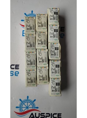 SCHNEIDER 电动 ZB4BV033 13 件装