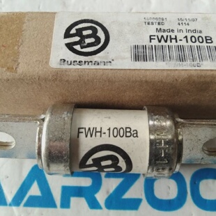 Bussmann FWH100B FWH100B 100 Amp 100A 500V Schnelle Wirkung