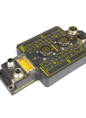 Turck FLDP-IOM 2012-0001 现场总线 I/O 模块