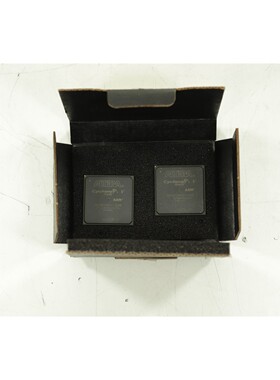 批量 2 件 Altera 5CSXFC6D Cyclone 5CSXFC6D6F31C6N