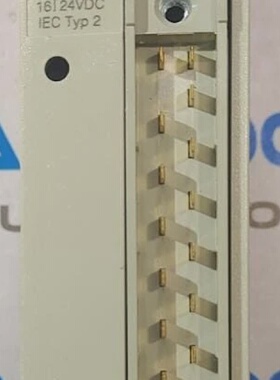 1PCS Brandneu mit Karton Schneider Plc Eingabe Modul TSXDEY1