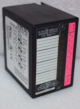 GE FANUC IC670MDL330J INPUT MODULE GROUPED OUT 16PT 12120 VA