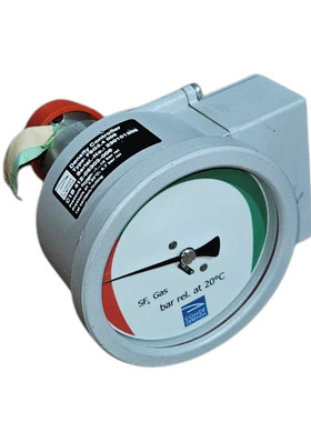 COMDE DERENDA FSG24 006 密度控制器 C1B41205303006 范围 110