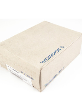 Schmersal SRB324ST 24V(V.3) 101195504