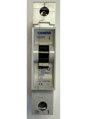 Siemens Leitungsschutzschalter / 220V DC / 230/400 AC / 5SX5