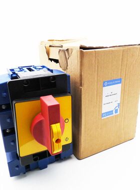 Kraus & Naimer KG250.T204/D-A020.E Lasttrennschalter -unused