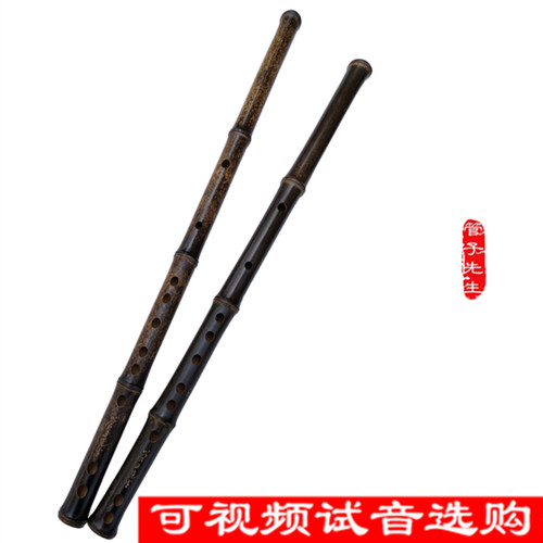 专业紫竹笛子演奏初学考级零基础