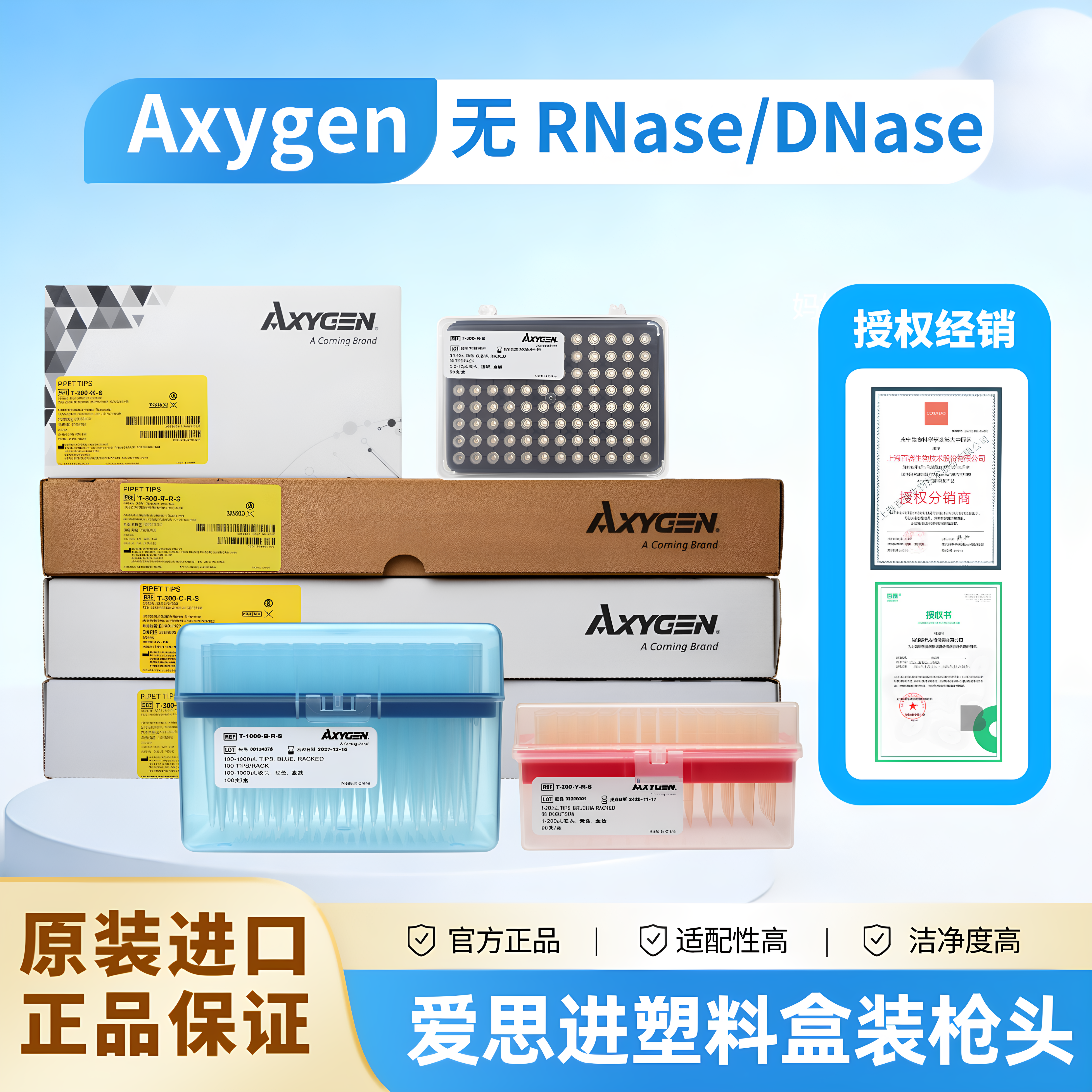 Axygen爱思进移液器枪头吸头10/200/300/1000ul盒装无DNA酶RNA酶无热源蓝吸头移液枪t-300/400/200/1000科盾