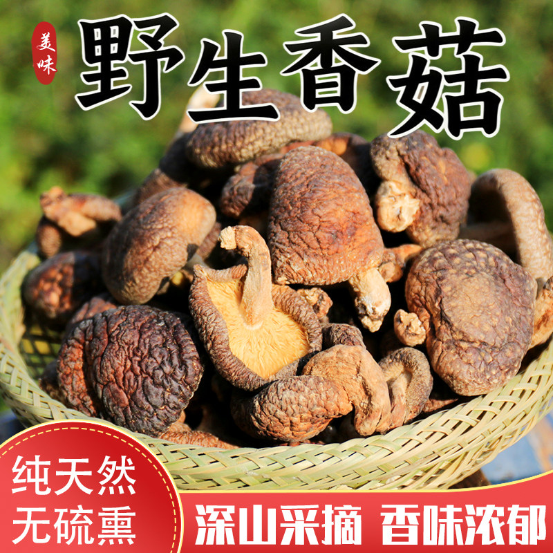 四川深山野生香菇天然晒干无硫熏肉厚菇香浓郁农家采摘煲汤炖鸡
