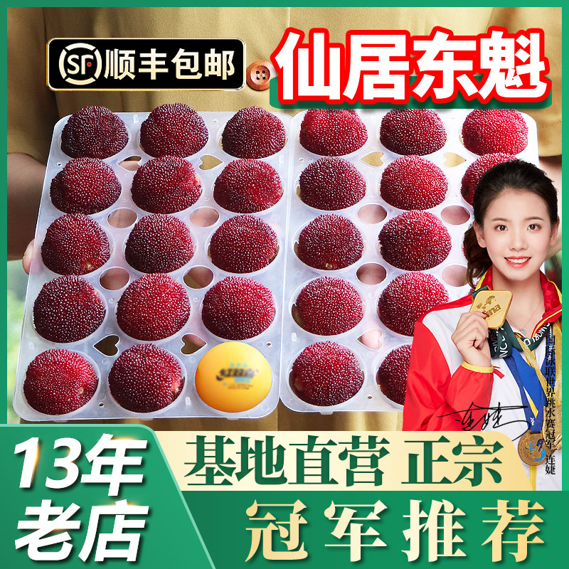 正宗仙居杨梅新鲜东魁大杨梅鲜果特级浙江现摘现发当季水果礼盒装