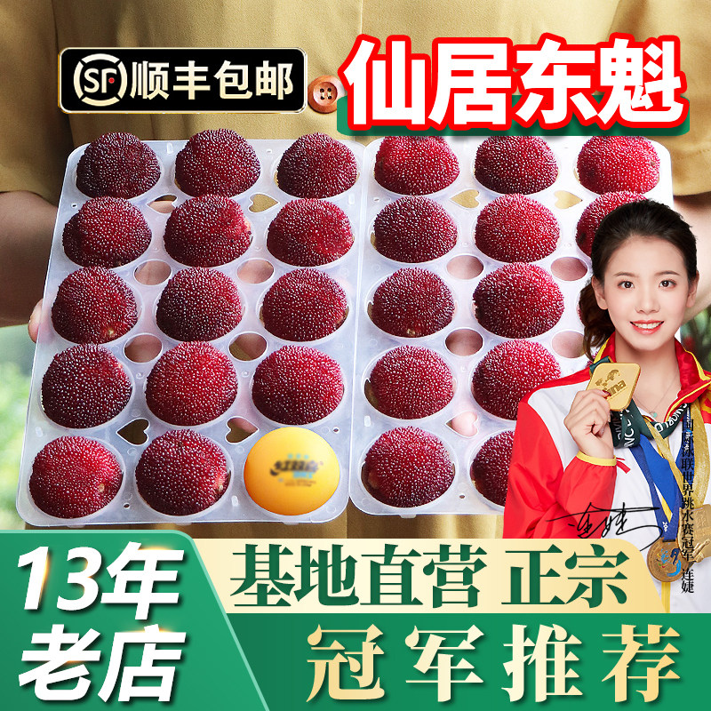 正宗仙居杨梅新鲜东魁大杨梅鲜果特级浙江现摘现发当季水果礼盒装