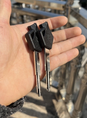 新品铃木钥匙胚丽至轻骑优友UY125T/QS110T-2小海豚摩托车钥匙胚