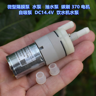 微型隔膜泵 水泵 抽水泵 碳刷370电机 自吸泵 DC14.4V 饮水机水泵