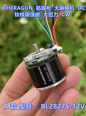 高端 THERAGUN 筋膜枪无刷电机 DC12V 钕铁硼强磁 大扭力 CW