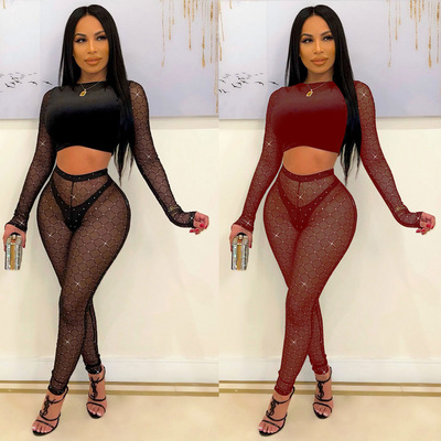 春季女网纱植绒烫银长裤套装分体