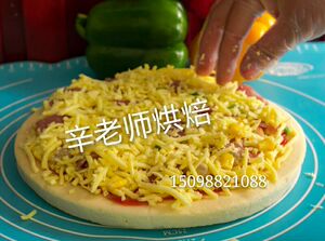 烤箱微波 披萨冷冻半成品披萨9寸 无添加手工制作 披萨饼