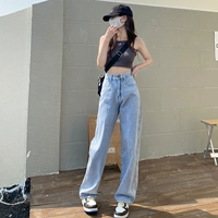 Монетный синий рутина