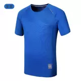 TS20001 Tyson Wolf T01 Серебряные ионы Супер сильные гигроскопические, пот, антибактериальная дезодоризация, антиддеодоризация, анти -сухая настройка Т -ланьи