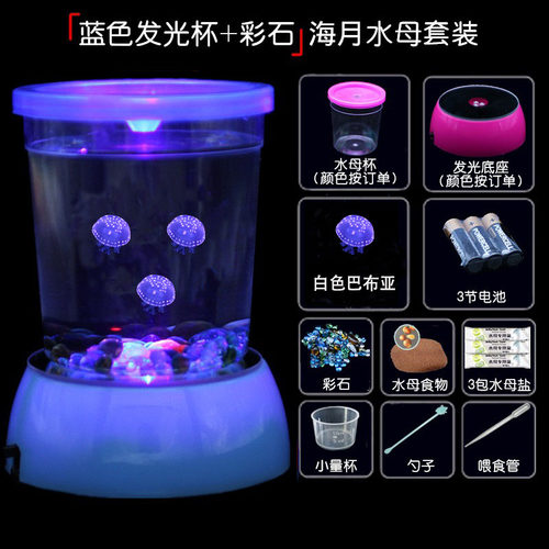 水母活物好养套餐赤月海月小宠物