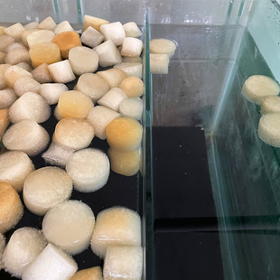 人工海水硝化细菌海水养水母小丑鱼珊瑚开缸换水多道过滤安全纯净