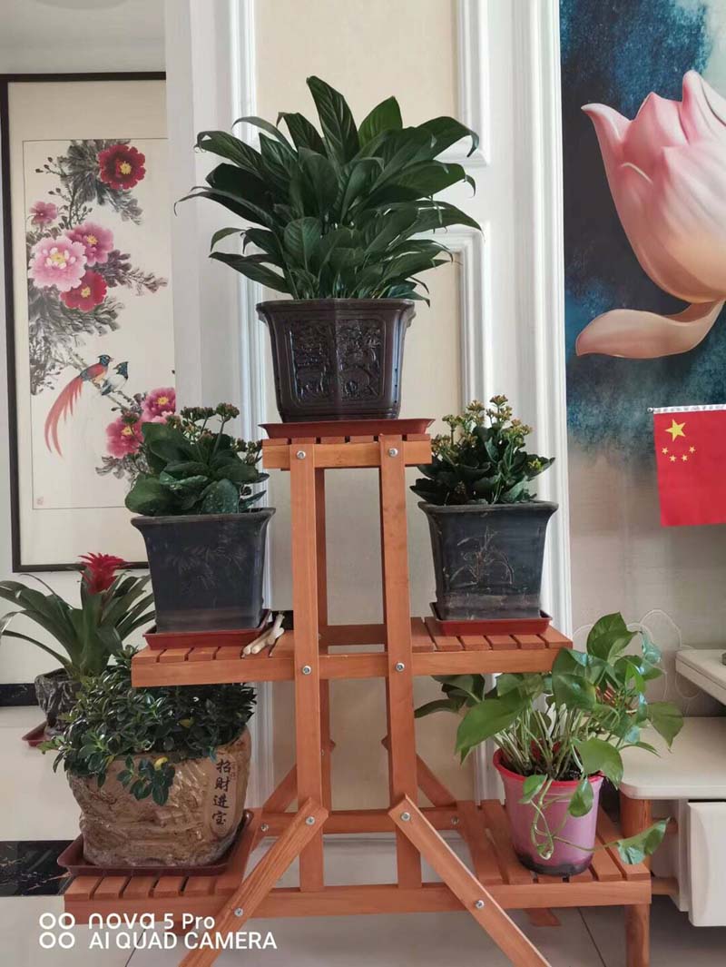 实木实木花架零甲醛环保健康