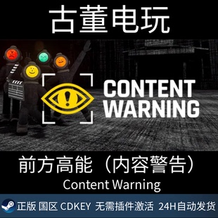 前方高能 steam Warning 国区CDKey 正版 激活码 内容警告 Content