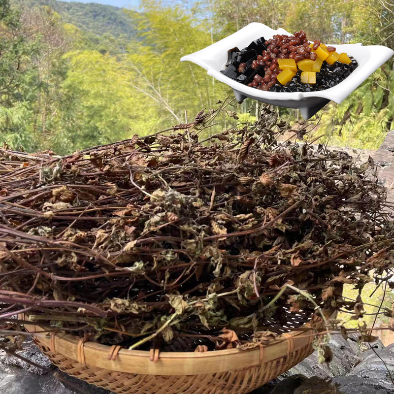 福建龙岩高胶质仙草干奶茶店配料