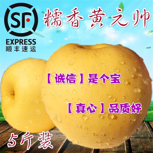 烟台香蕉粉金帅宝宝刮泥新鲜水果