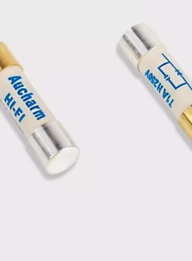 慢熔纯银保险管 声韵Aucharm HIFI保险丝CD胆机功放音响5x20mm
