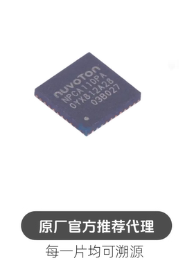 NPCA110PA0YX 封装 QFN40 音频功率放大器 芯片