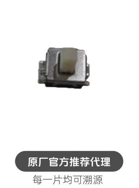 ESB33533  自锁开关 带锁开关