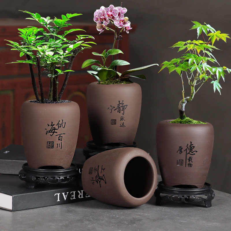 紫砂兰花蝴蝶兰花盆透气图片