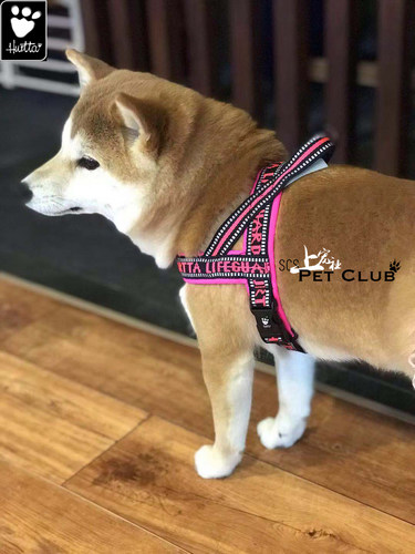 芬兰hurtta悍拓休闲犬炫彩胸背带