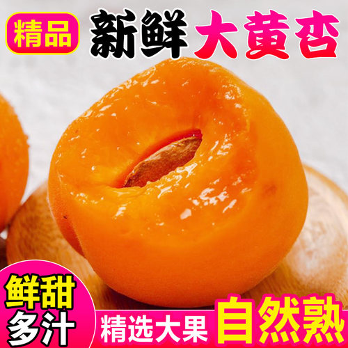 大黄杏现摘杏子新鲜水果酸甜