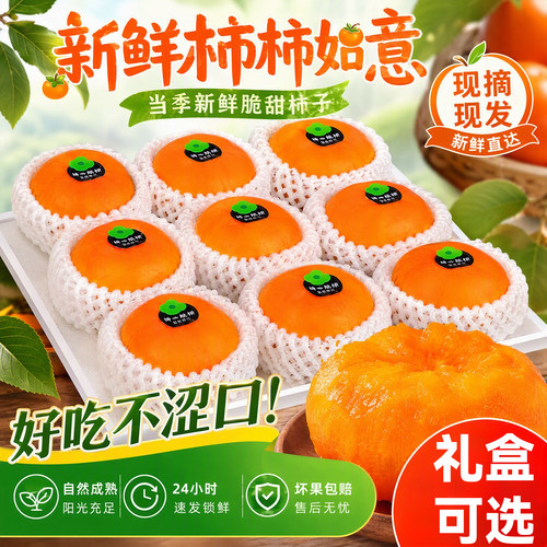 山西巧克力脆柿子新鲜水果甜柿应季礼盒送礼包邮当季整箱冰糖心柿