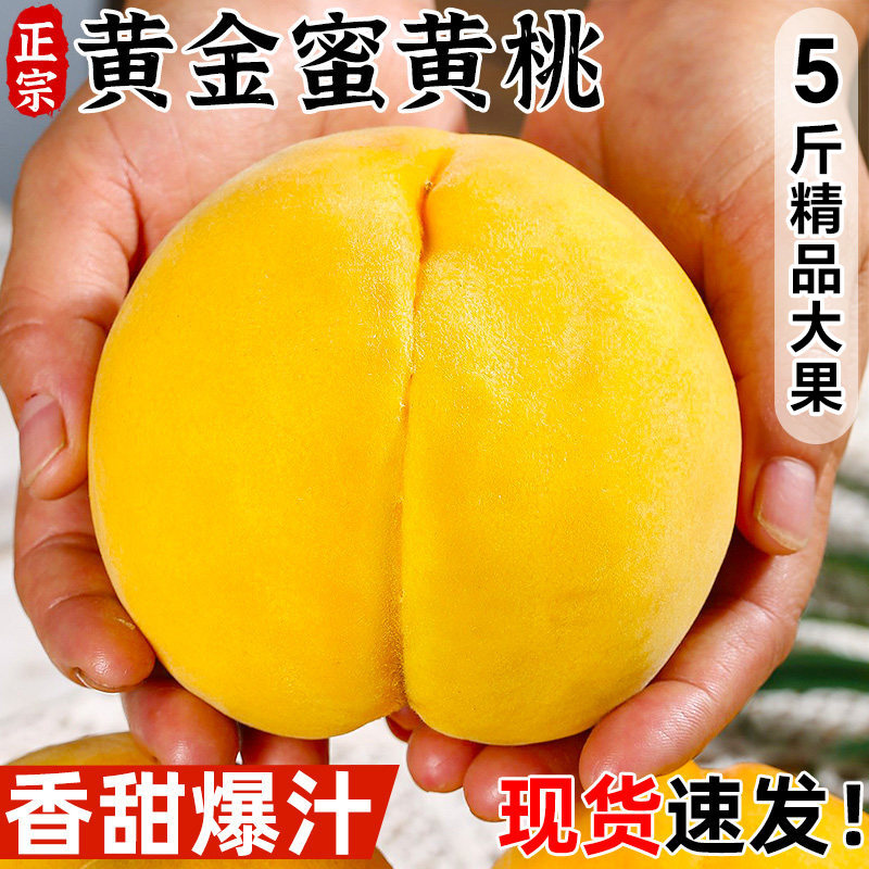 黄桃新鲜桃子水果5斤黄金蜜桃当季整箱现摘现发蒙阴黄肉蜜桃