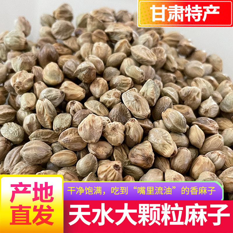 天水香麻子原味五香特大粒生麻子火麻子仁吃炒熟食用大颗零食新货