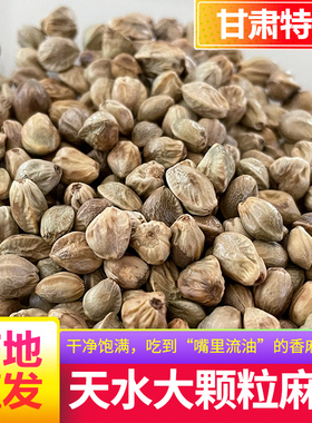 天水香麻子原味五香特大粒生麻子火麻子仁吃炒熟食用大颗零食新货