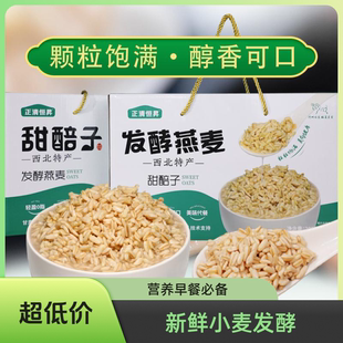临夏美食广河特产甜麦子清真甜醅子兰州甜胚子燕麦甜胚子礼盒装