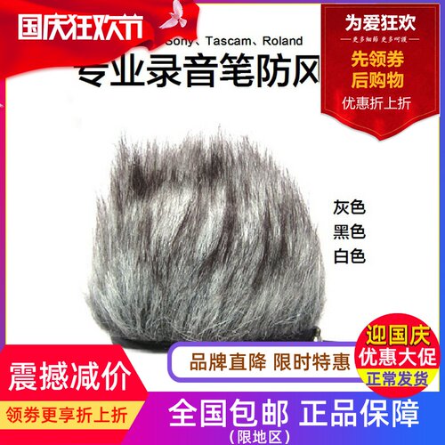 TASCAM录音笔Zoom毛套H1防风毛衣H2N话筒H4N H5罩H6 Q3 D50 DR100