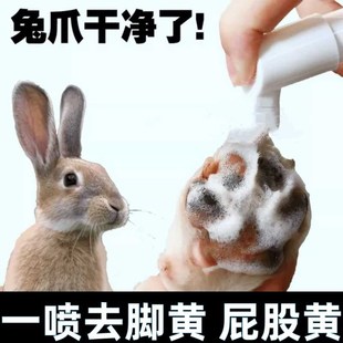 兔子洗脚去黄神器专用洗澡清洁干洗泡泡粉宠物兔兔清洗剂用品大全